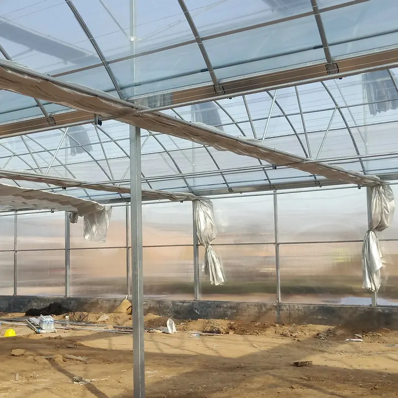 Shandong factory price multi span greenhouse film with natural ventilation