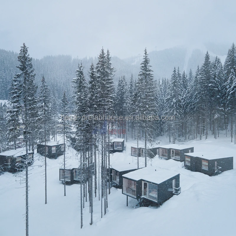 Cost price simple assembly modern home luxury container capsule prefabricated house