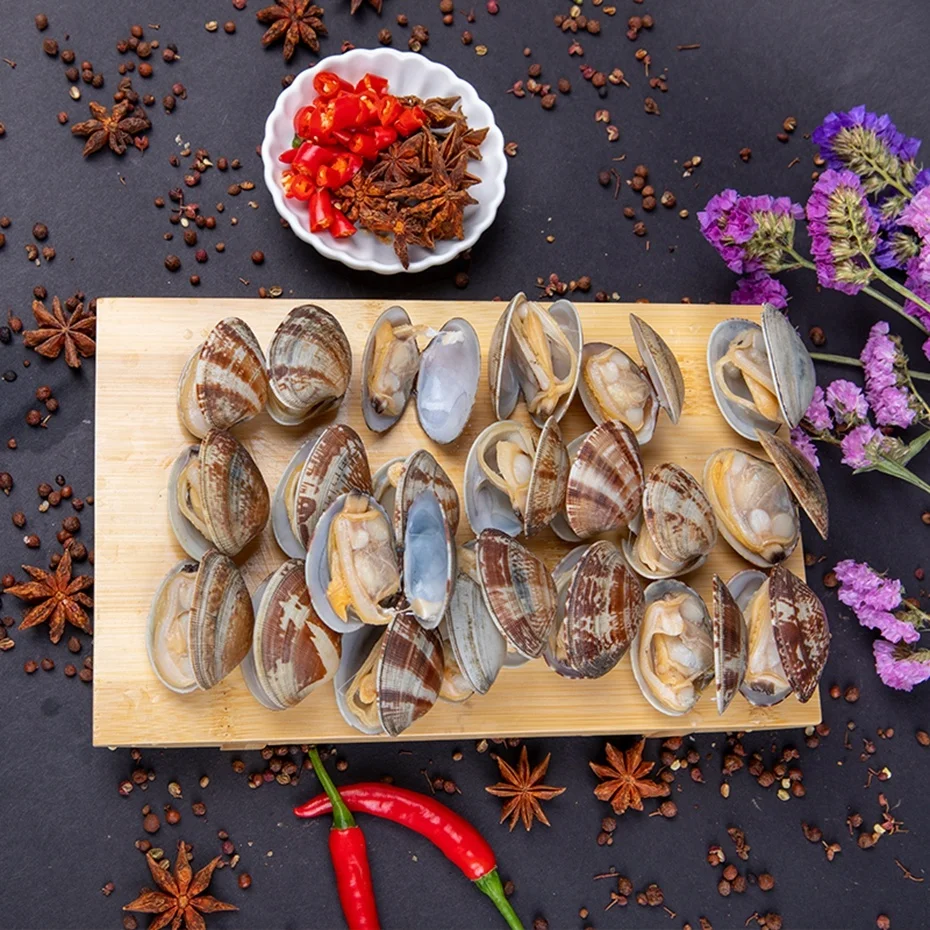 
Frozen Fresh New Boiled Short Necked Clam With Shell 