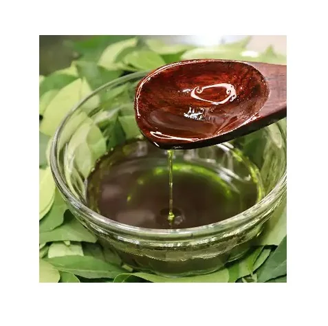 Export Selling Pure Organic Essential Curry Leaf Oil for Hair Care Available at Wholesale Price for Export from India