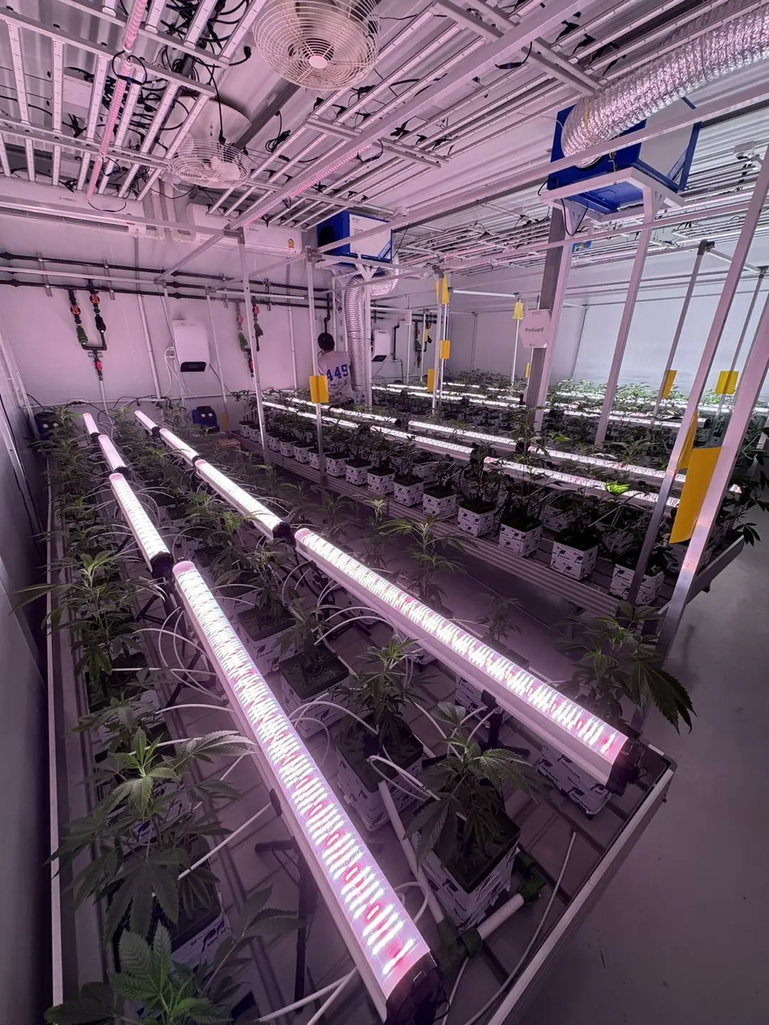 Customized 120W Led Under Canopy Lighting LM301H 4 inch Waterproof Full Spectrum Smart Under Canopy Grow Lights Indoor Plants