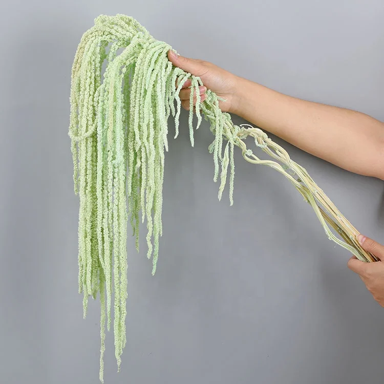 Hanging Rice Wholesale Lover Tears Roulisi Hanging Rice Long Spike For Wedding Hotel Decoration