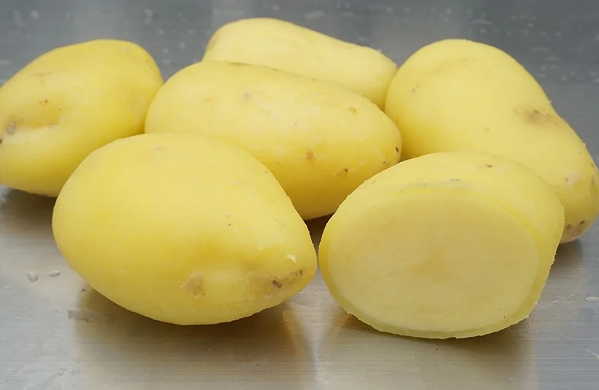 Automatic Onion Potato Taro, Mango,Peach, Grape Steam Peeler Machine Plant Process Line Machine