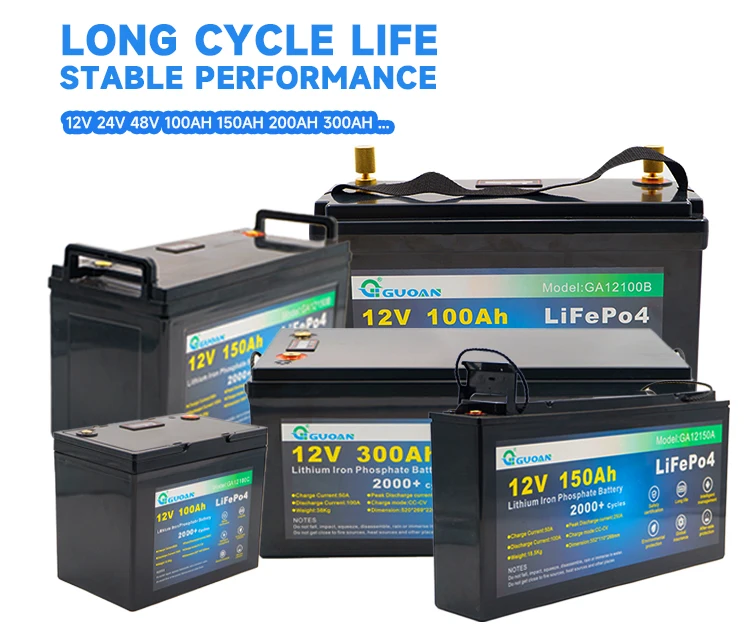 12v 24V  100ah 120ah 150ah 200ah 300ah Lifepo4 BMS Lithium Battery Pack