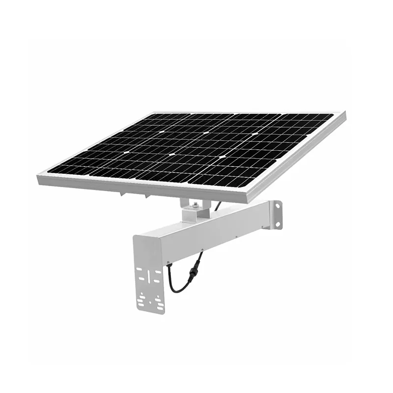 Renewable Energy 60W 40AH 45W 15A Solar panel CCTV camera 4g network ptz speed dome