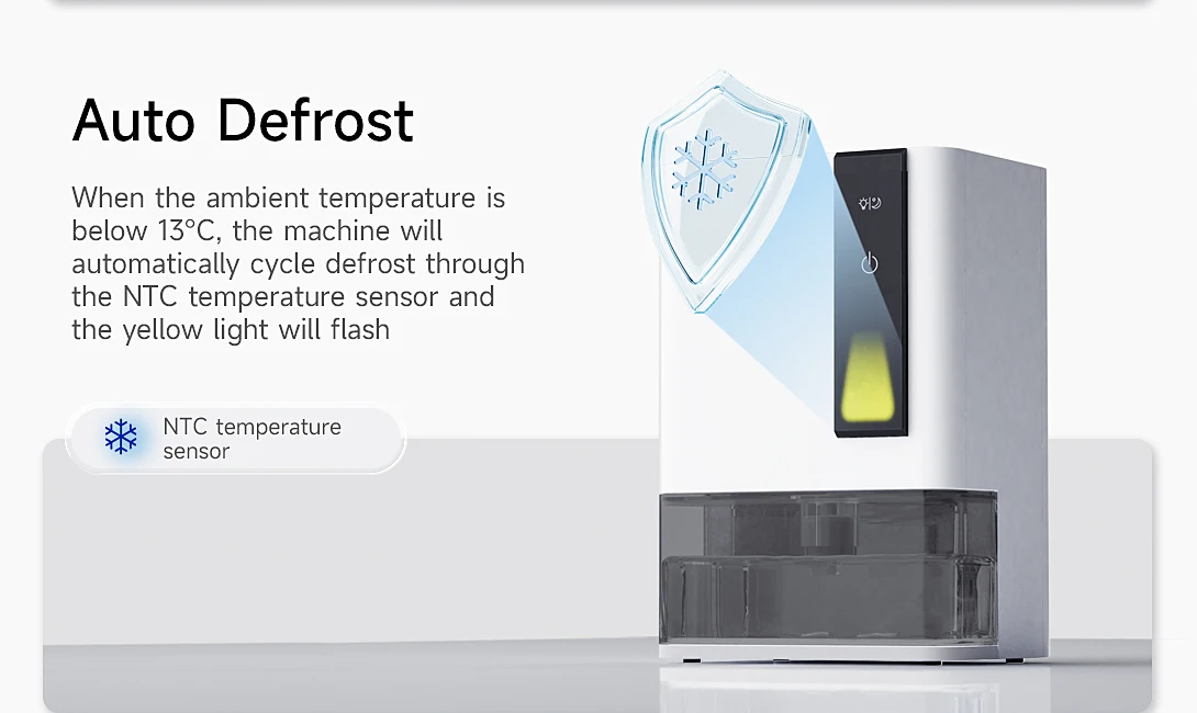 20240806-Macro-duo-_07