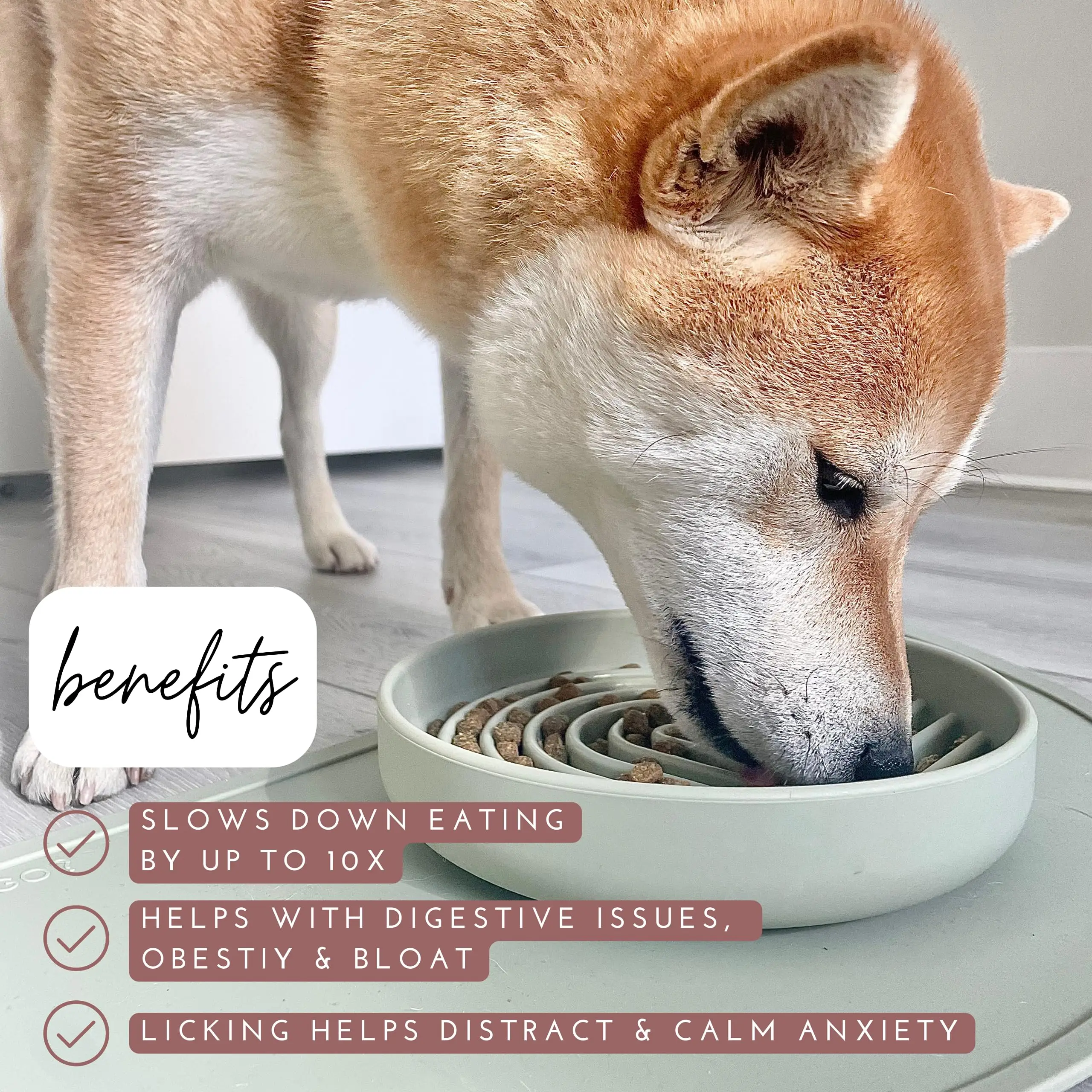BPA Free Food Grade Silicone Pet Slow Feeding Bowls Dishwasher Safe Lick Mat for Dogs and Cats Slows down Eating