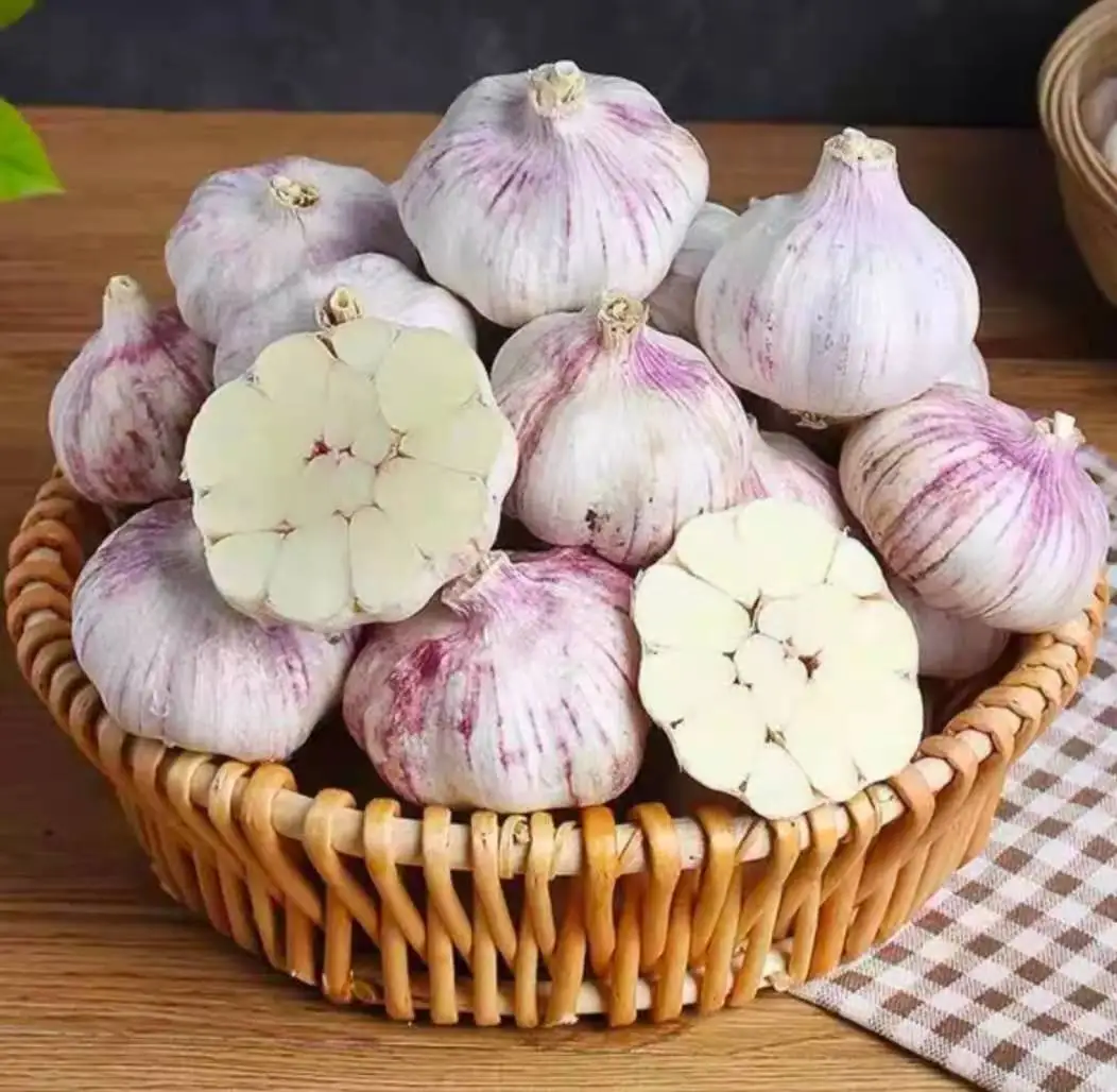 Price special fresh garlic.best quality garlic.red white garlic