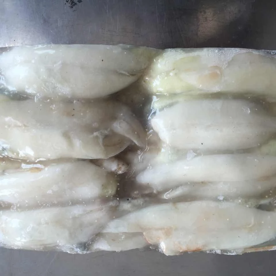 Лучший сервис, замороженные Серебристые иллекс кальмары иллекс, икры кальмара, полностью круглые блоки сырья в наличии