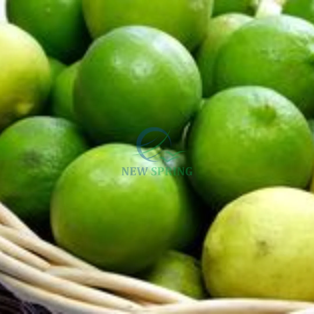 2023 Fresh Lemon Green Lemon  From Viet Nam Ready To Ship