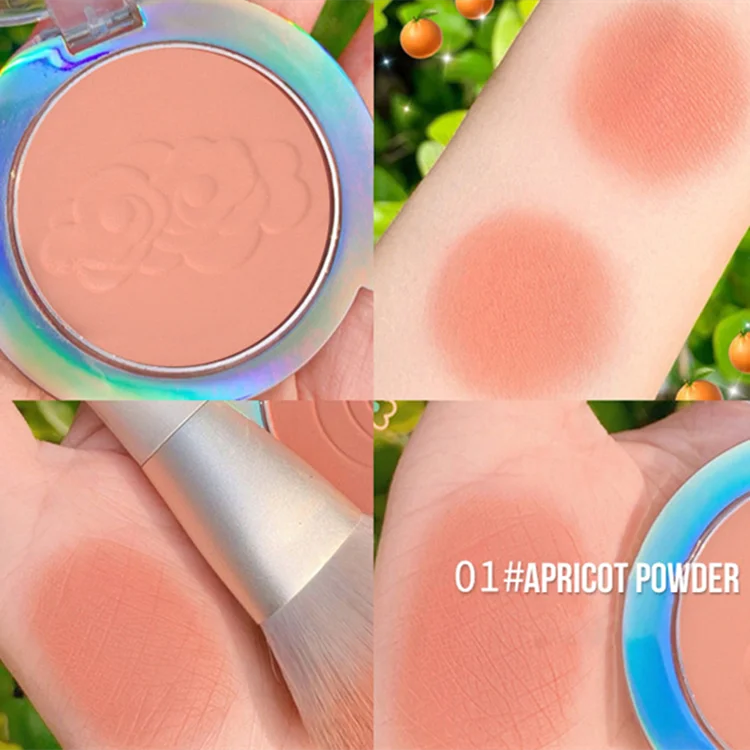 Private label blush no logo 6 colors soft pressed powder blush