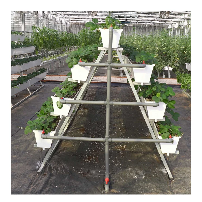 Agriculture Greenhouse Vertical Hydroponics Growing System for Strawberry