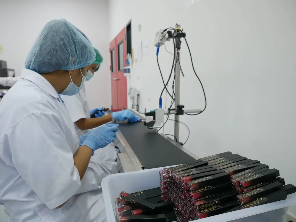 Rinrhada Matte Revolution Lipstick in Lost Cherry Long Lasting Waterproof Stay All Day Matte Lipstick No.4