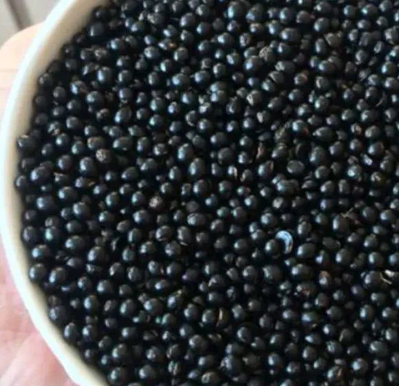 
Black color no fruit shells Zanthoxylum bungeanum Maxim seeds 