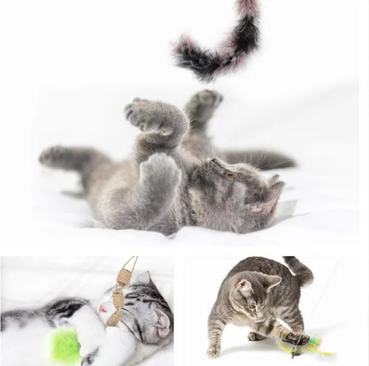 CATT9.png
