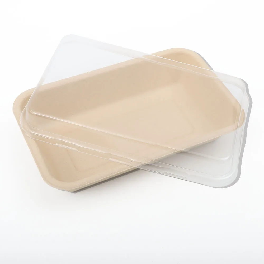 Snacks and fruits packaging disposal trays variety disposable products food box eco friendly