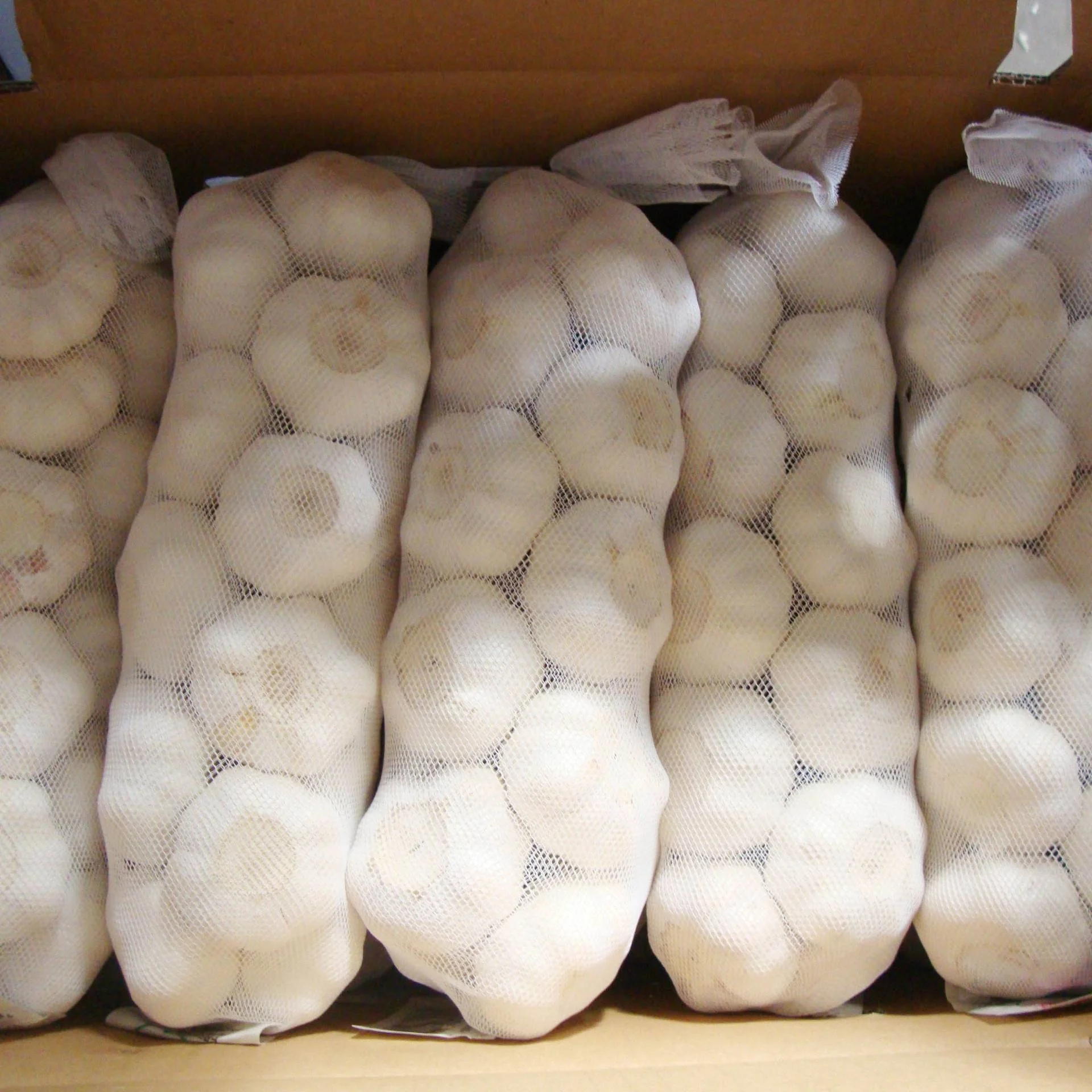 hotsale Chinese fresh garlic,white garlic for taste