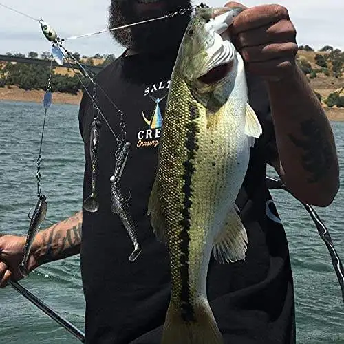 fishing lure bait rigs