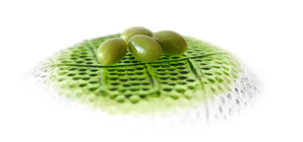 
Japanese Capsules Natural Health Anti-Aging Weightloss Supplements 