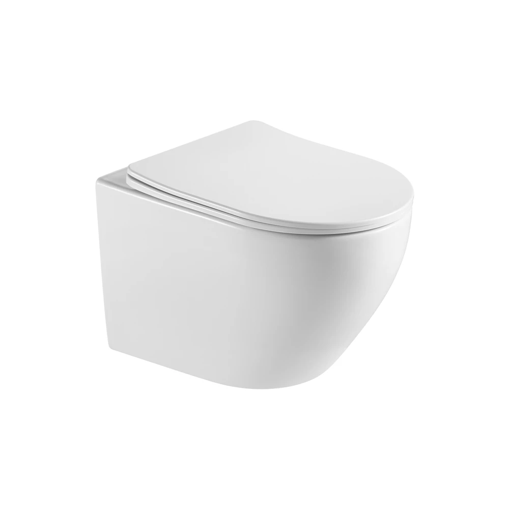 European Style Washdown Flushing Wc Ceramic Bathroom Wall Hung Toilet with Concealed Cistern