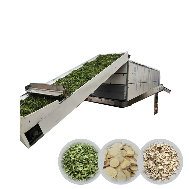 konjac chips mesh belt drying equipment flos lonicerae drying machine hemp leaves mesh belt dryer