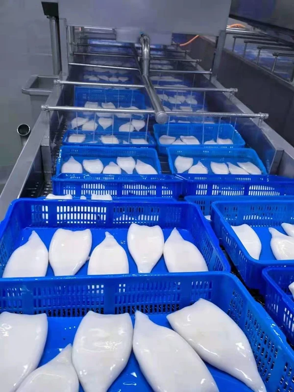 Fresh Whole Cleaned Calamari u5 u10 First Ring Frozen Gigas Squid Tube