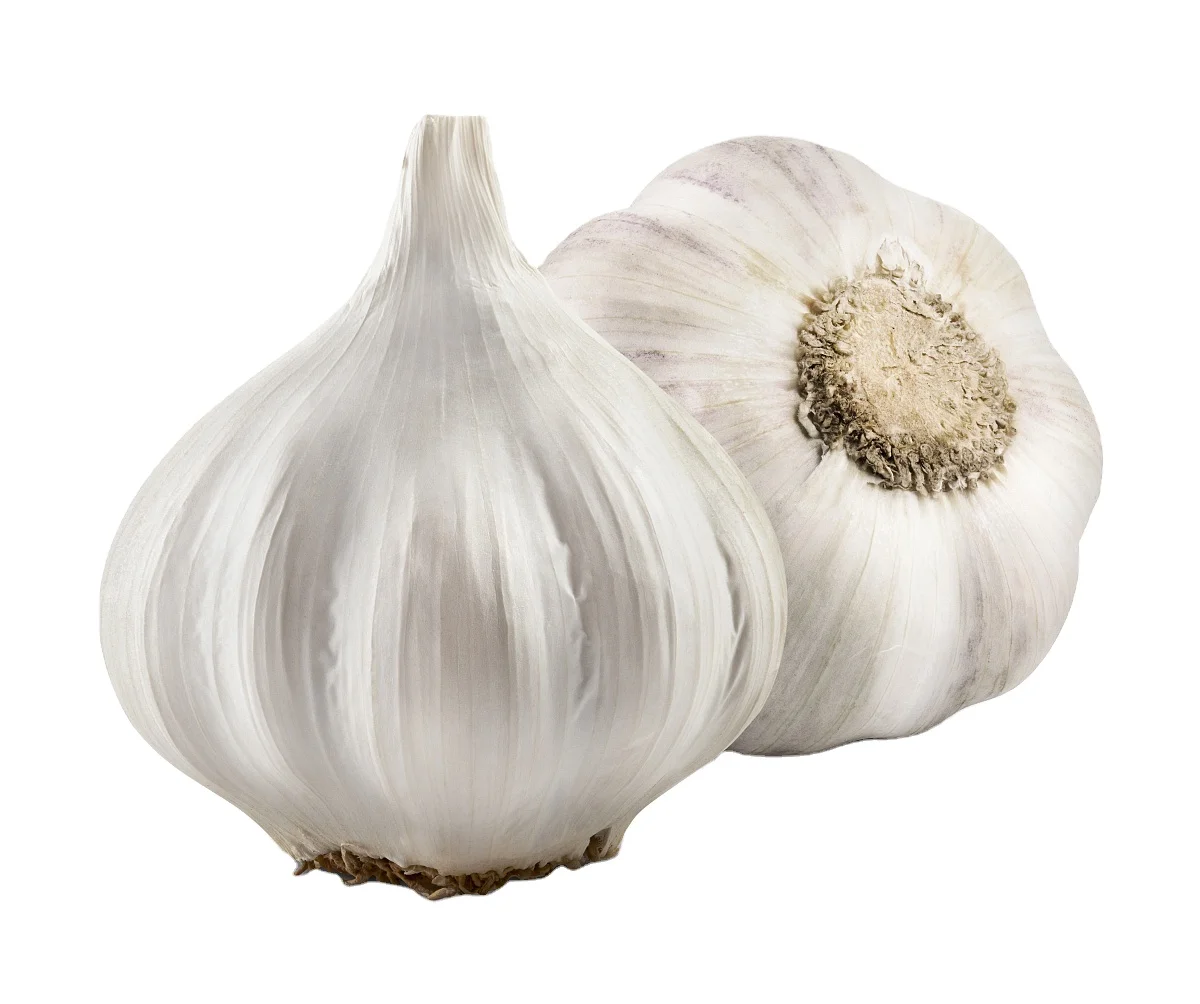 Китайский чеснок хорошего качества, 6,5 см