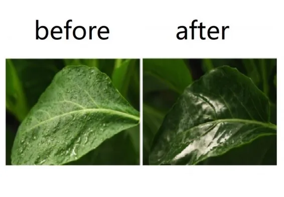 Agricultural silicon spreading and penetrating agent, silicone surfactant, pesticides synergist