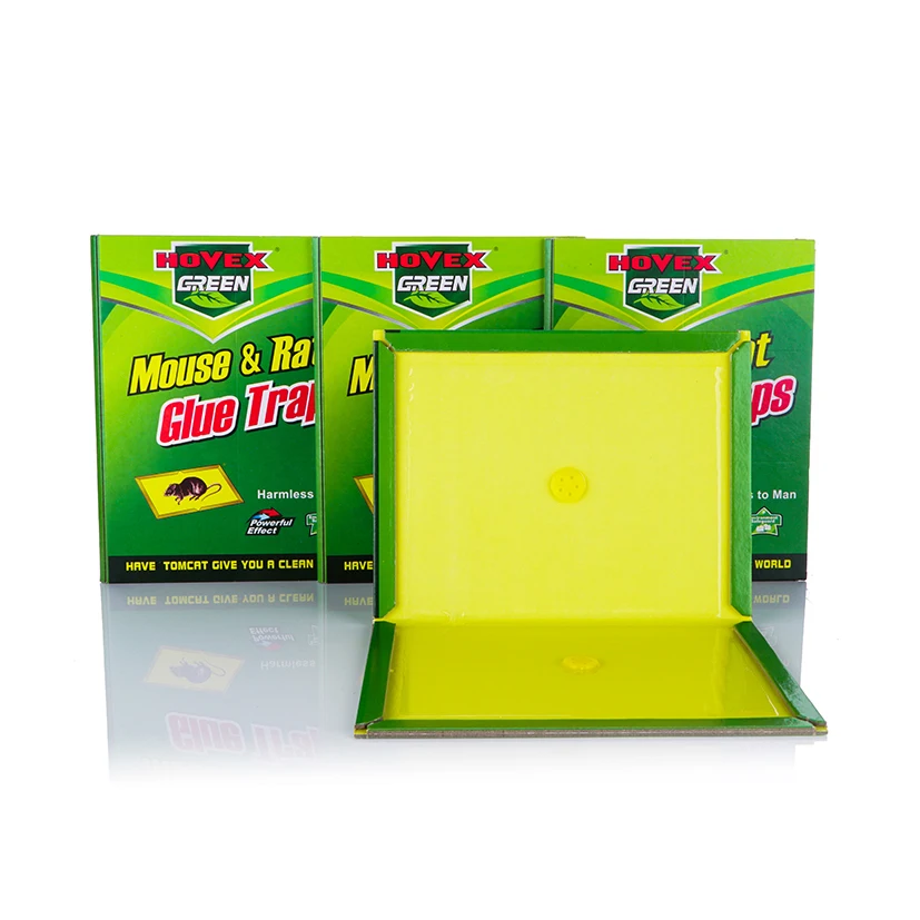 
Strong rodent catch plate glue board hunt glue cardboard rodent control glue trap 