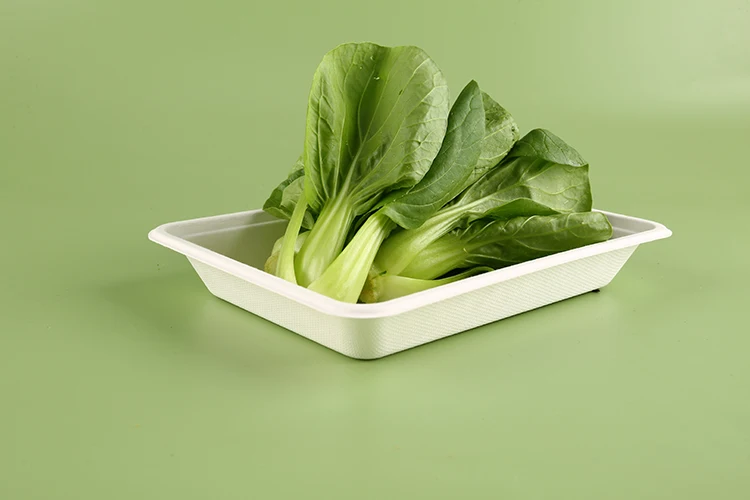 Eco Friendly Recycle Pack  Disposable Ecopack Biodegradable Freshware Meal Ecopack Food Packaging Meal Tray