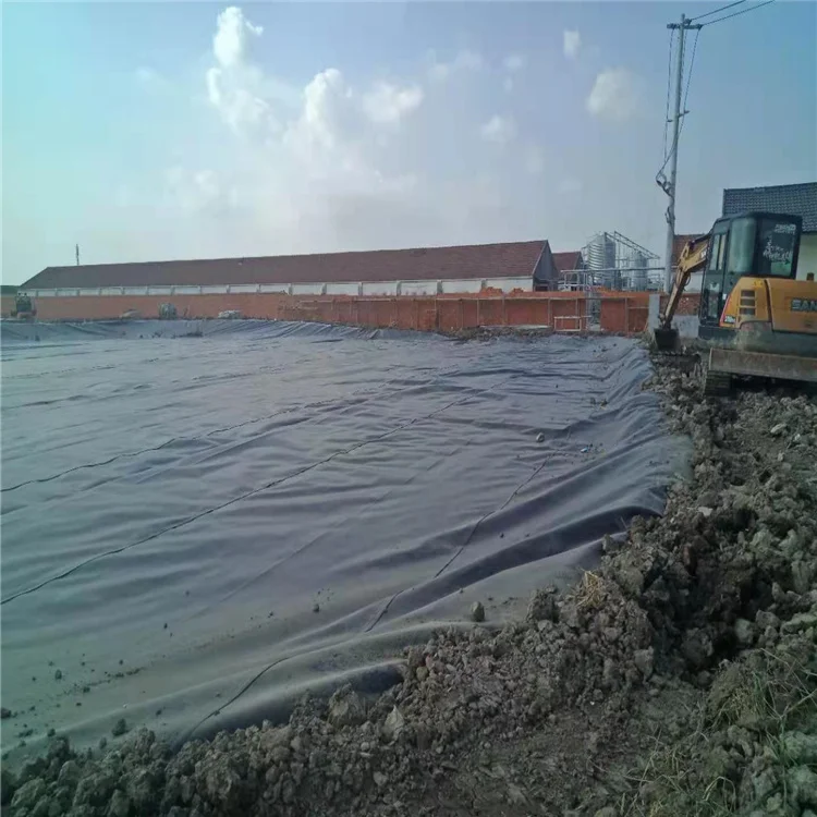 HDPE LDPE LLDPE Plastic Sheeting Roll 1mm 1.5mm 60 Mil Liner Geomembrane Polyethylene Sheet Pond for Fish