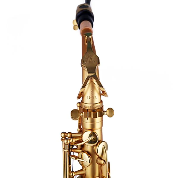 High Quality Professional Alto Saxophone AS-7368 in Gold Lacquer Brass Body with EB Tone