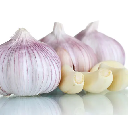 Hot Sale Guochen the g1 fresh pure white garlic seeds 10 kg 4.5-5.5 cm shandong origin import sale in china kutsh thailand