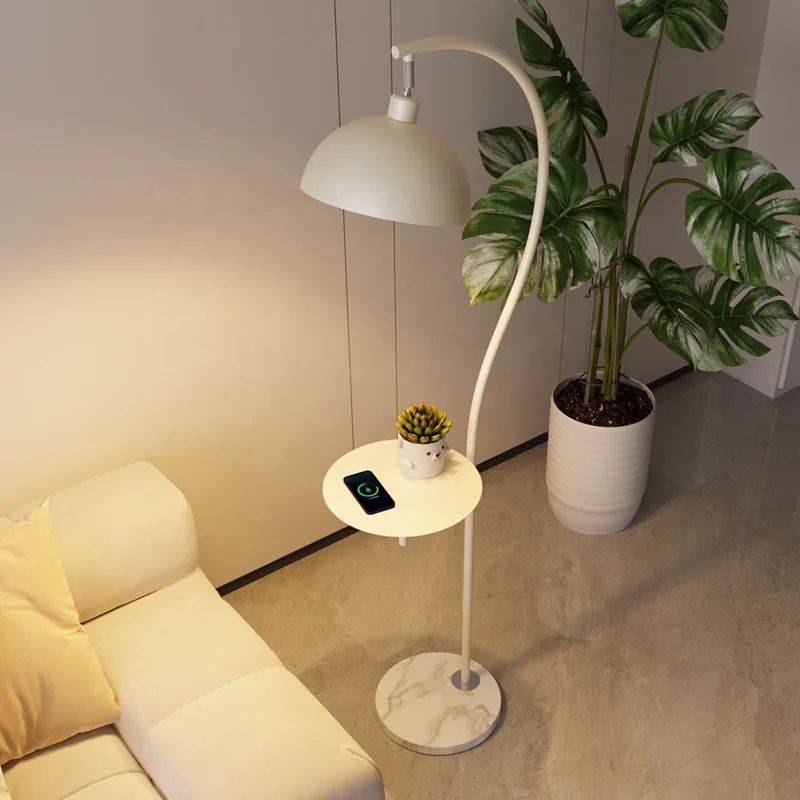 Fishing lamp, floor lamp, living room sofa, ambient light, storage rack, integrated practical decorative lighting