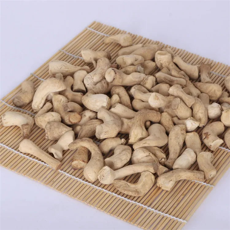Outstanding Quality Shiitake Foot Shiitake Mushroom Stem Mushroom Root