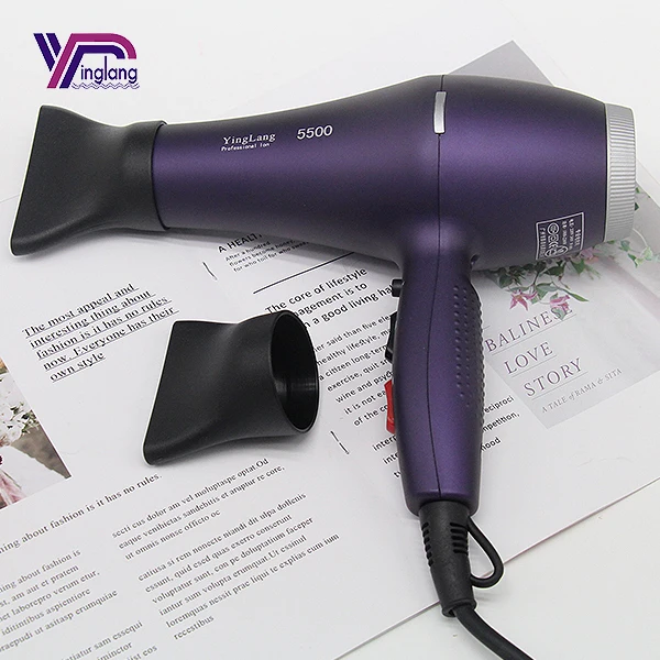 High Power Salon Hotel Best Professional Home Salon Hot and Cold Air Negative Ion Hair Dryer