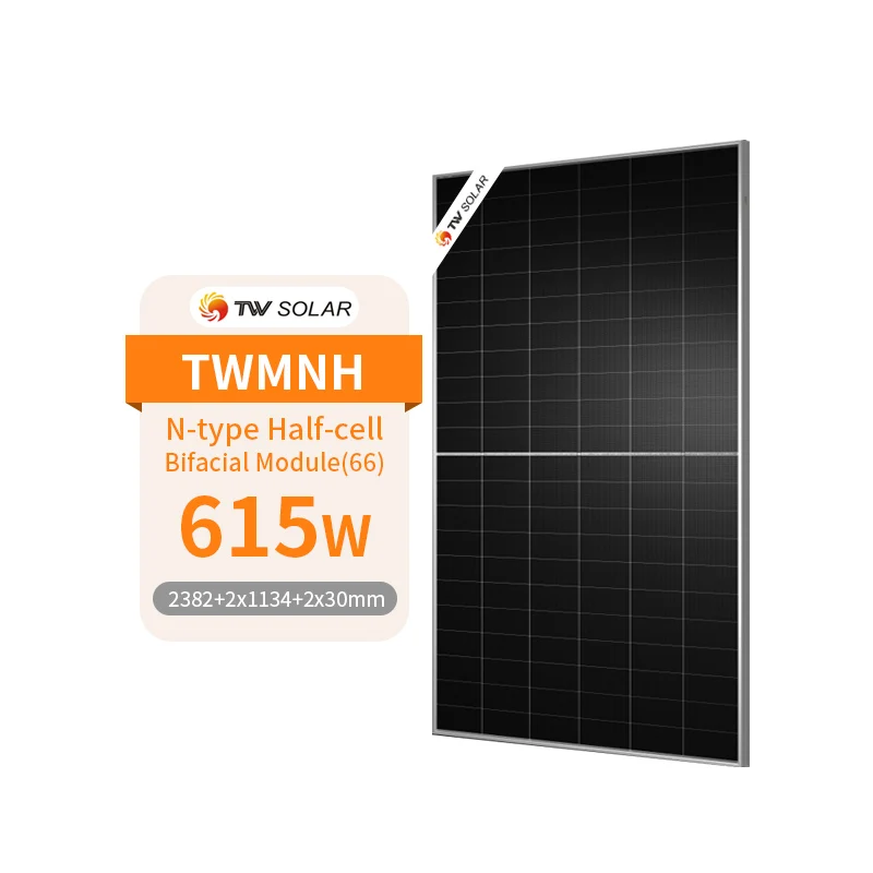 Двойное стекло Tongwei 615 Вт двухсторонние солнечные панели N-типа модуль PV 610 620 625 630