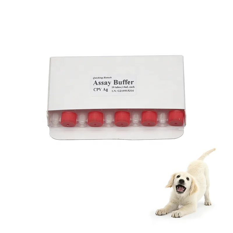 veterinary hospital Diagnostic dog disease test canine parvovirus CPV ag antigen rapid test kit