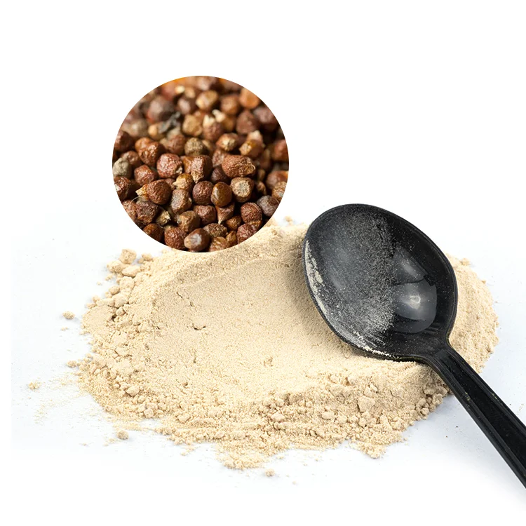 Food Grade Aframomum Melegueta Extract 6-Paradol 12.5% and Gingerol 5% Herbal Extract Bulk Drum Packaging