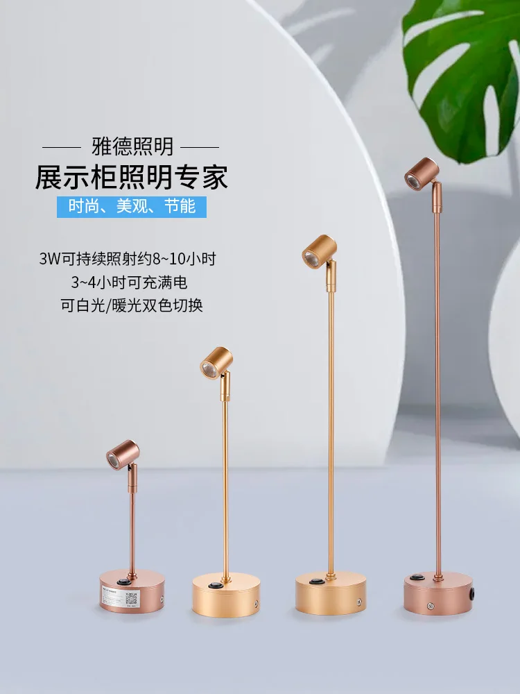 LED rechargeable spotlight lamp1W high pole
