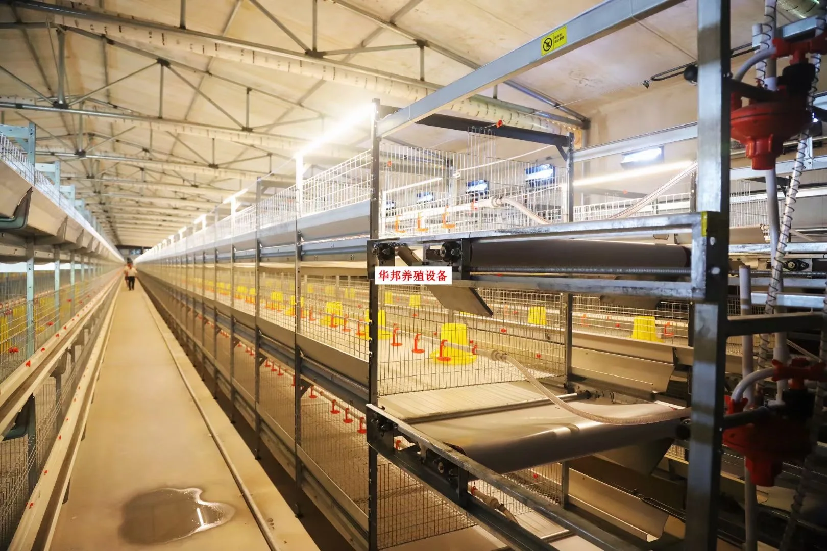Automatic chicken feeding cage    H Frame Chicken Coop