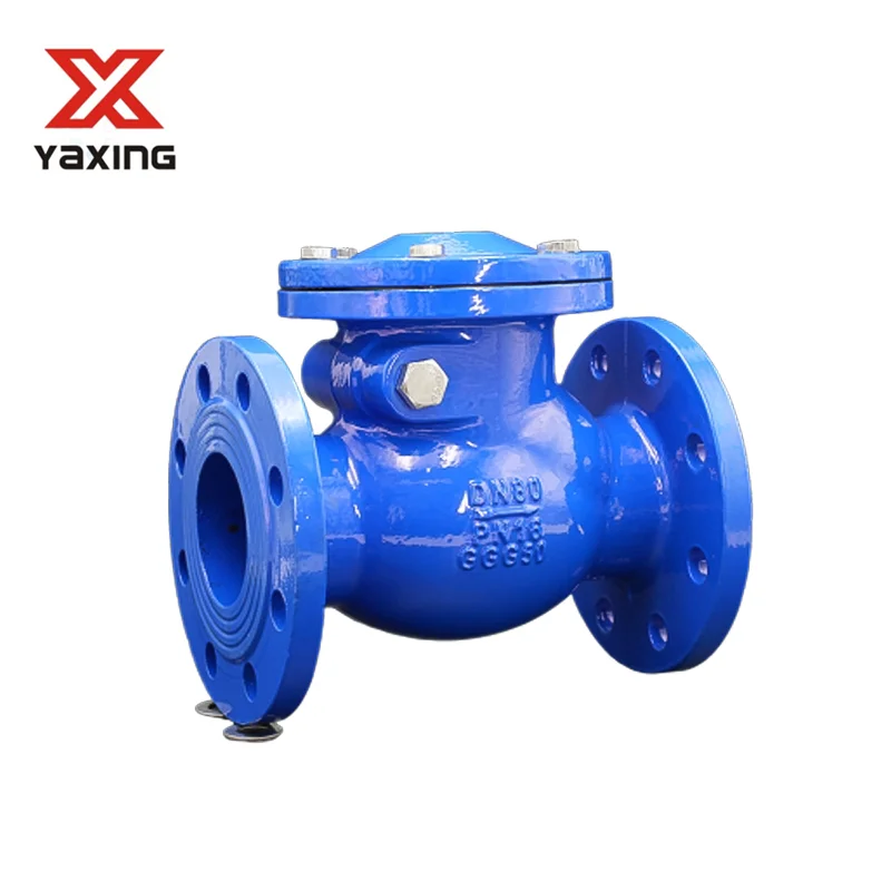 Dn100 4 Inch Pn16 Double Flange Type Cast Iron Non-return Swing Check Valve