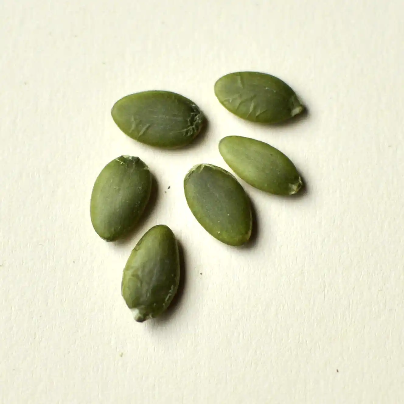 China Competitive Price 3A Grade Organic Pumpkin Kernel Light Green Pumpkin Seed Kernel