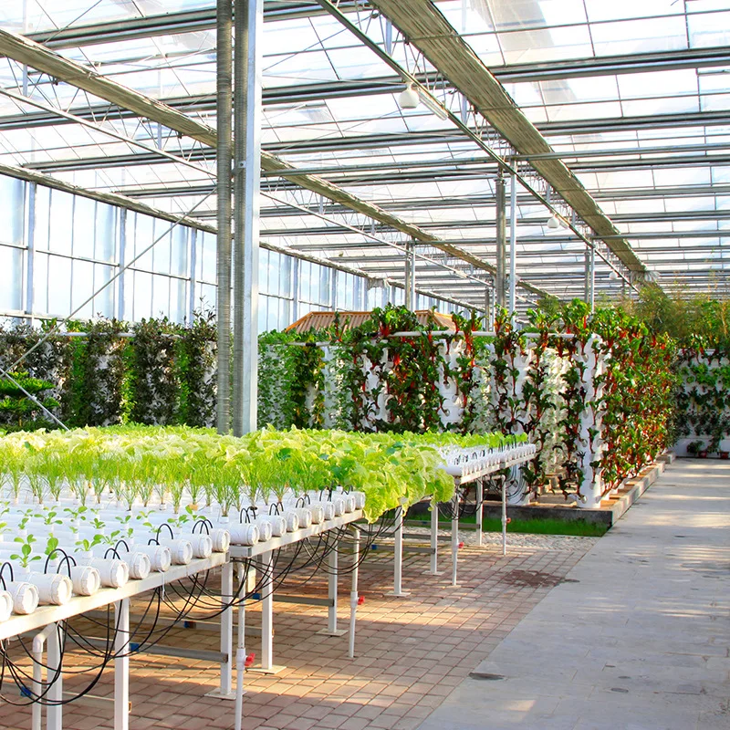 Plant factory soilless cultivation vegetable equipment technology hydroponic greenhouse planting frame indoor and outdoor vegeta