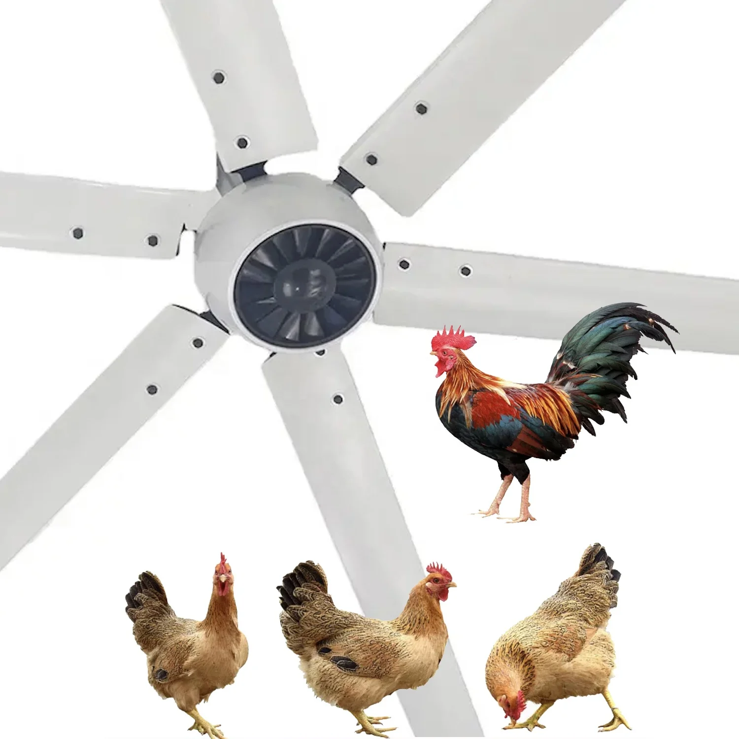 giant big fans PMSM industrial gearless bldc AC motor HVLS fans motor