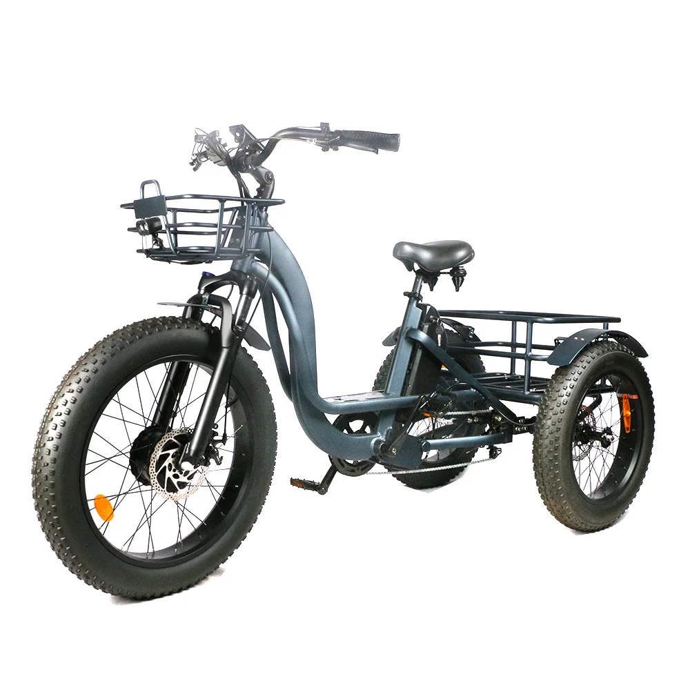 3 wheel motorcycle 48v 750w front drive motor 10 -20Ah lithium battery powered optional cargo electric fat tire tricycle
