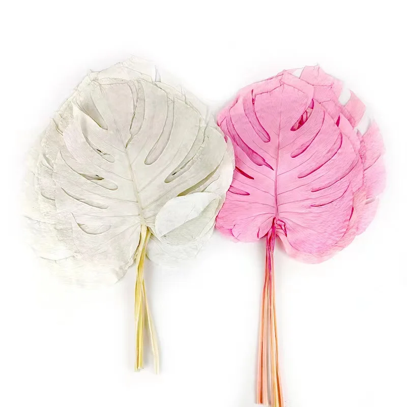 Hot sell preserved Monstera leaves Monster Flower white leaves for house decoration