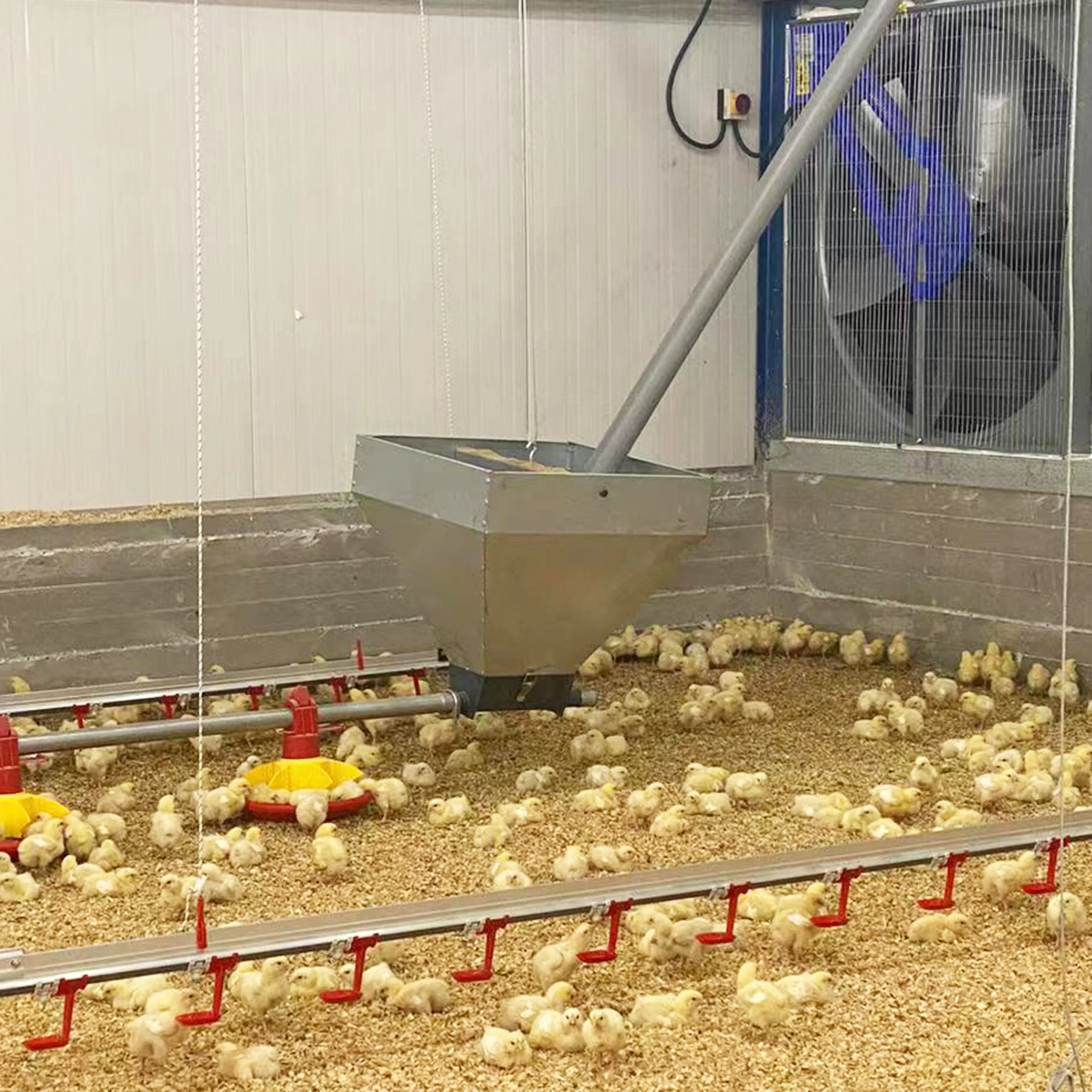 Feeder Hopper Hopper Livestock Farms Feed Silo Hopper Feeder