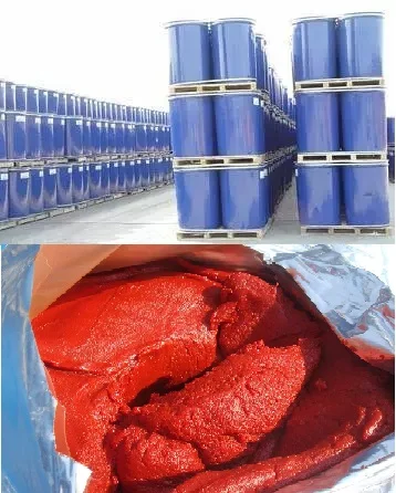 turnkey plant for the production of sauces, ketchup and tomato paste