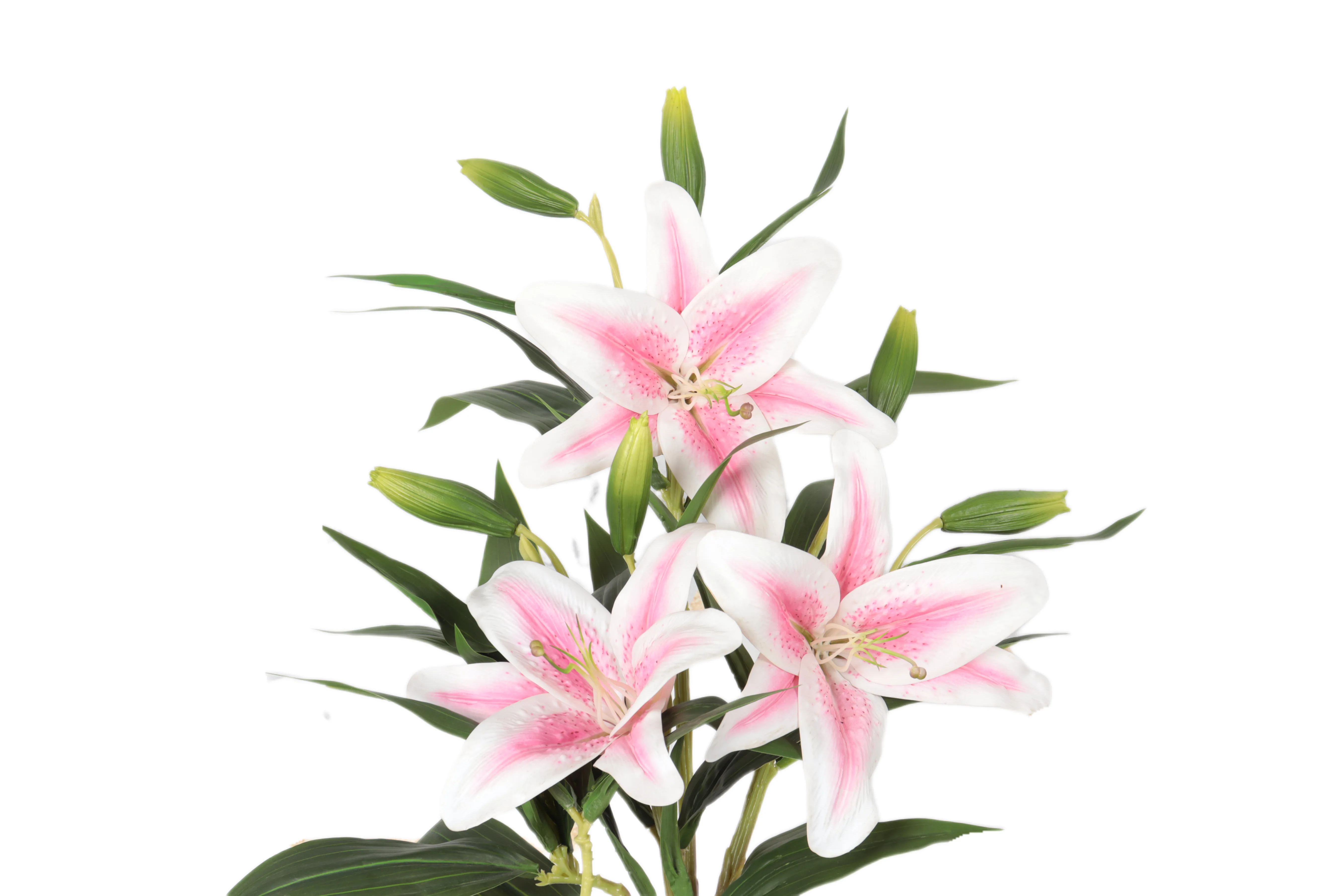 2021-11-28 145227.jpg